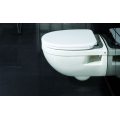 Wall Hung WC Pan