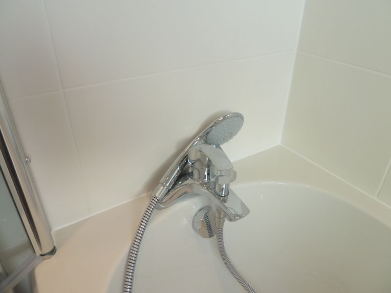 Mixer shower