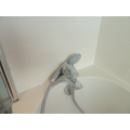 Mixer shower