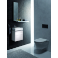 3D Wall Hung WC 3D Wall Hung WC