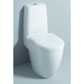 3D Washdown WC multi outlet 3D Washdown WC multi outlet