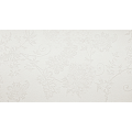 Divine Moon Wallpaper Divine Moon Wallpaper