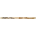 Exclusive Border 1 Beige Exclusive Border 1 Beige