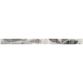 Exclusive Border 1 Grey Exclusive Border 1 Grey