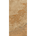 Modern Beige Modern Beige