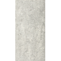 Polished Porcelain (Maestro) Light Grey Polished Porcelain (Maestro) Light Grey
