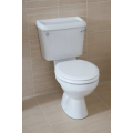 WC Pan WC Pan