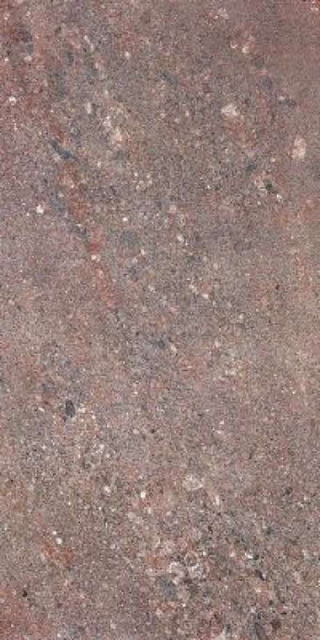 Canyon Semi Polished Mocca