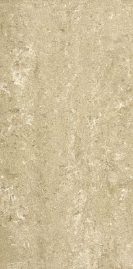 Polished Porcelain (Maestro) Brown