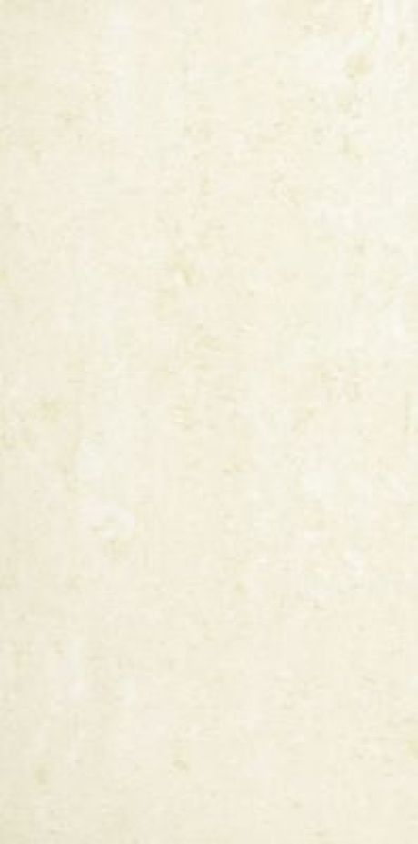 Polished Porcelain (Maestro) Cream