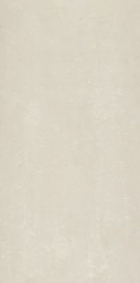 Polished Porcelain (Maestro) Ivory